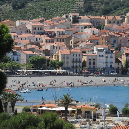 Appartement Avec Grande Terrasse Vue Sur Mer バニュルス・シュル・メール エクステリア 写真